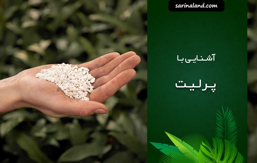 آشنایی با پرلیت
