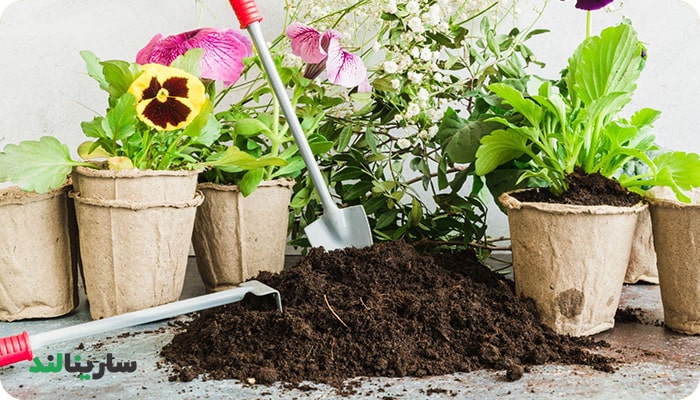 فواید استفاده از ورمی کمپوست در خاک گیاهان آپارتمانی