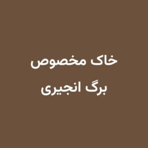 خاک مخصوص برگ انجیری